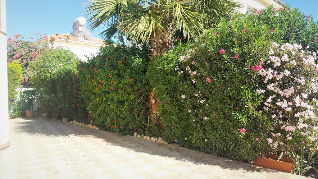 Villaer By The Sea